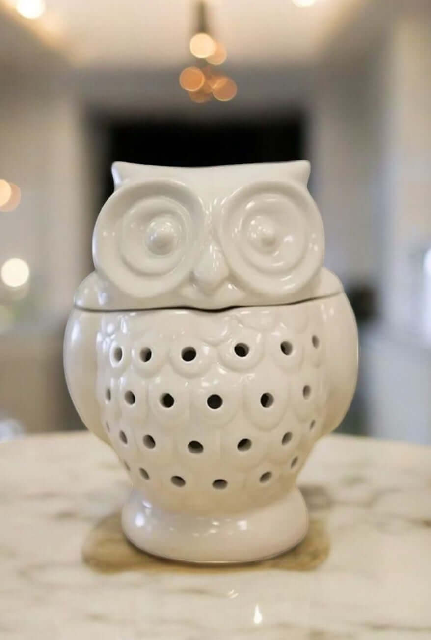 Owl Night Light Diffuser – Soft & Soothing Light