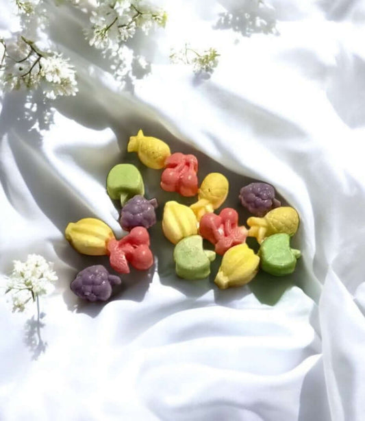 Scented Melts - Fruity Delights