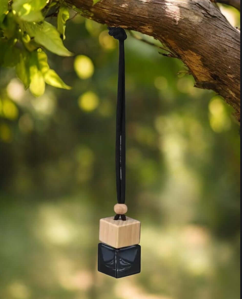Hanging Car Diffuser – Perfume your drive, naturally